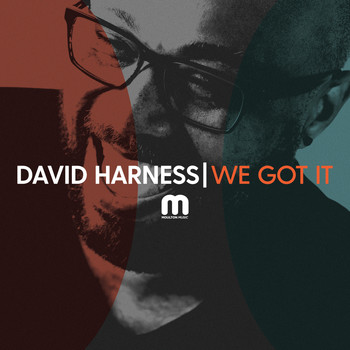 David Harness - We Got It