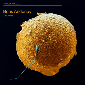 Boris Andonov - The Houst