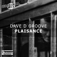 Dave D Groove - Plaisance