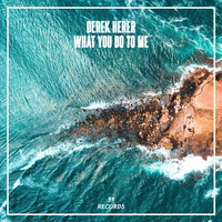 Derek Herer - What You Do to Me