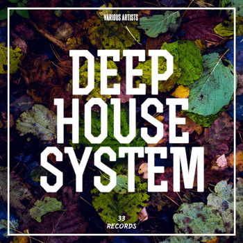 Various Artists - Deep House System