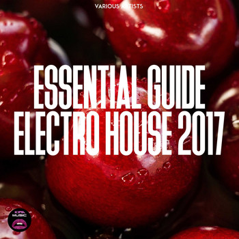 Various Artists - Essential Guide Electro House 2017