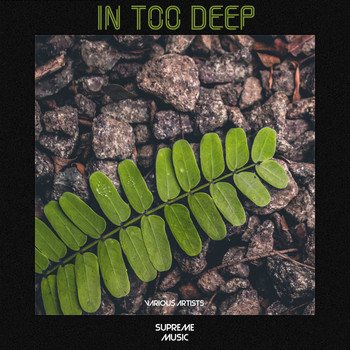 Various Artists - In Too Deep