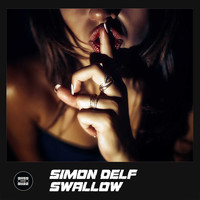 Simon Delf - Swallow