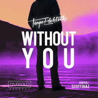Tempo Elektrik - Without You