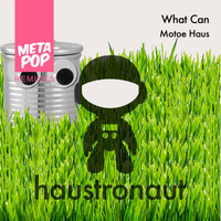 Motoe Haus - What Can : MetaPop Remixes