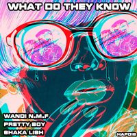 Wandi N.M.F & Pretty Boy Feat Shaka Lish - What Do They Know