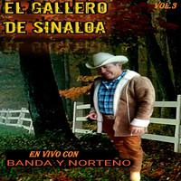 El Gallero De Sinaloa - En Vivo Con Banda y Norteño  Vol.3