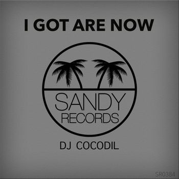 Dj Cocodil - I Got Are Now