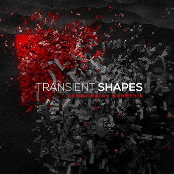 Various Artists - Transient Shapes