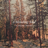 A Mending Soul - A Joyous Arrival