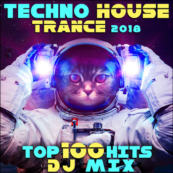 Various Artists - Techno House Trance 2018 Top 100 Hits DJ Mix