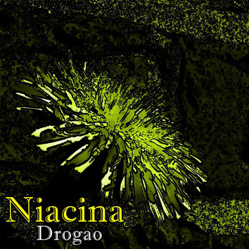 Drogao - Niacina