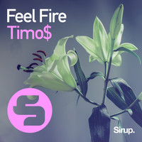 Timo$ - Feel Fire