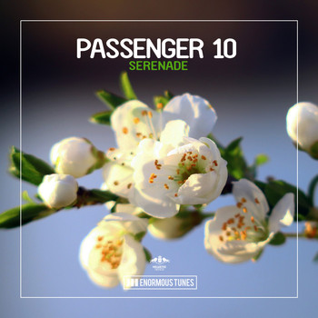 Passenger 10 - Serenade