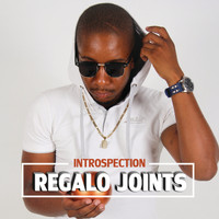 REGALO Joints - Introspection