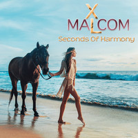 Malcom XL - Seconds of Harmony