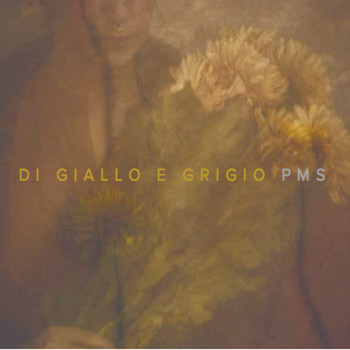 PMS - Di giallo e grigio