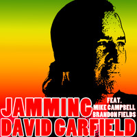 David Garfield - Jamming
