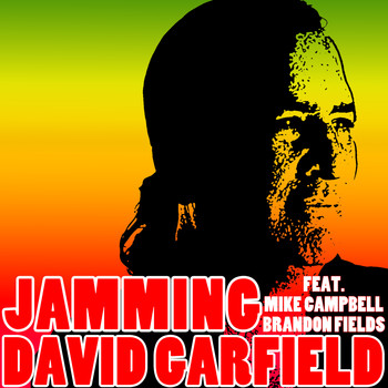 David Garfield - Jamming