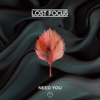 Lost Focus - Need You
