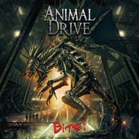 Animal Drive - Time Machine