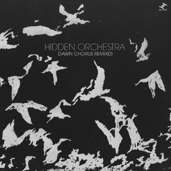 Hidden Orchestra - Dawn Chorus (Remixes)