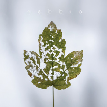 NEBBIA - Nebbia