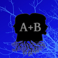 A+B - Branches