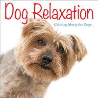 Jay Oliver - Dog Relaxation: Calming Music for Dogs