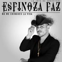 Espinoza Paz - No Me Chingues La Vida