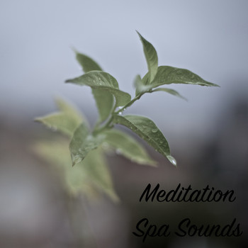 Relaxing Spa Music, Mindfulness Meditation Music Spa Maestro, Spa Relaxation - 15 Relaxing Meditation & Spa Sounds