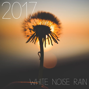 Zen Music Garden, White Noise Research, Nature Sounds - 2017 All New White Noise Collection of Rain Sounds