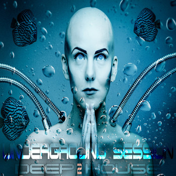 Various Artists - Underground Session Deep House Vol.2