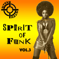 Stex - Spirit Of Funk, Vol.3
