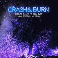 Roy Smith - Crash & Burn (Sam Bergeson VIP Remix) [feat. Roy Smith]