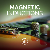 myNoise - Magnetic Inductions