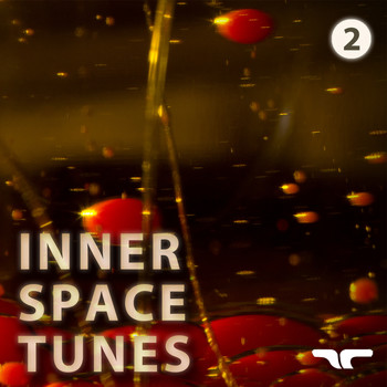 Various Artists - Inner Space Tunes 2