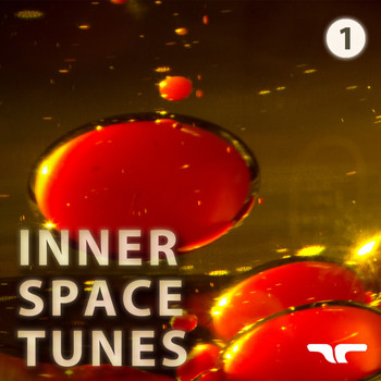 Various Artists - Inner Space Tunes 1