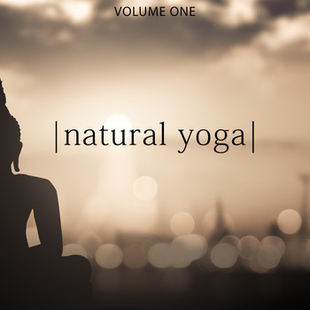 Various Artists - Natural Yoga, Vol. 1 (Chill Out & Zen Music For Relaxing And Yoga Workout)