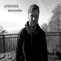 Damir Pushkar - After Hour