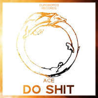 Ace - Do Shit (Explicit)