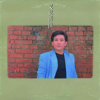 青山 - 又見青山