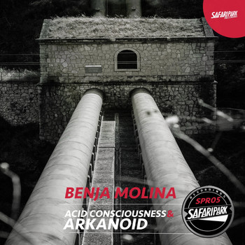 Benja Molina - Acid Consciousness & Arkanoid