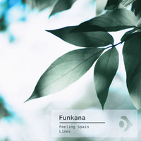 Funkana - Feeling Spain / Lines