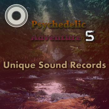 Various Artists - Psychedelic Adventure 5