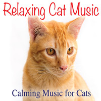 Jay Oliver - Relaxing Cat Music: Calming Music for Cats