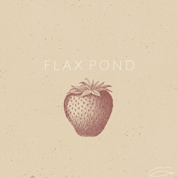 GEO - Flax Pond