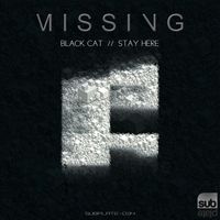 Missing - Black Cat / Stay here