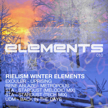 Various Artists - Rielism Winter Elements